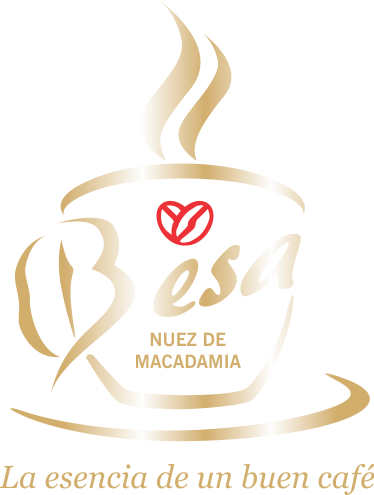 Café y Macadamia Besa